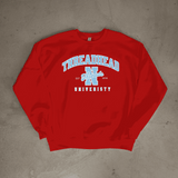ThreadHead University Sweatshirt